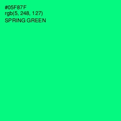 #05F87F - Spring Green Color Image