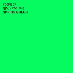 #05FB5F - Spring Green Color Image