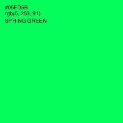 #05FD5B - Spring Green Color Image