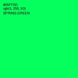 #05FF5D - Spring Green Color Image