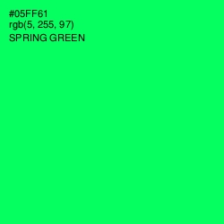 #05FF61 - Spring Green Color Image