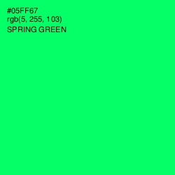 #05FF67 - Spring Green Color Image