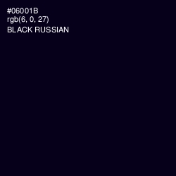 #06001B - Black Russian Color Image