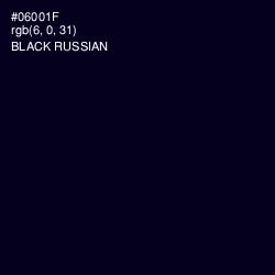 #06001F - Black Russian Color Image