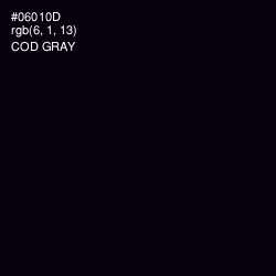 #06010D - Cod Gray Color Image