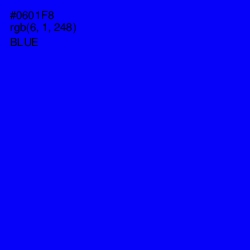 #0601F8 - Blue Color Image