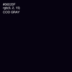#06020F - Cod Gray Color Image