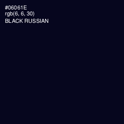 #06061E - Black Russian Color Image
