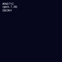 #06071C - Ebony Color Image