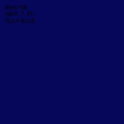 #06075B - Gulf Blue Color Image