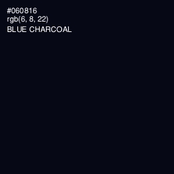 #060816 - Blue Charcoal Color Image