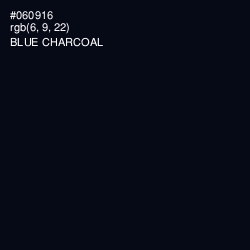 #060916 - Blue Charcoal Color Image