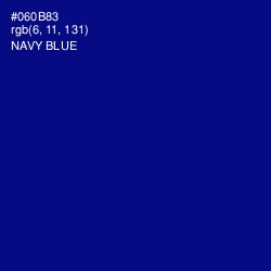 #060B83 - Navy Blue Color Image