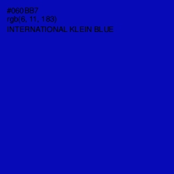 #060BB7 - International Klein Blue Color Image