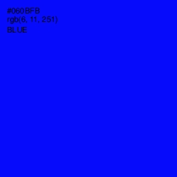 #060BFB - Blue Color Image