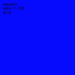 #060BFD - Blue Color Image