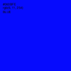 #060BFE - Blue Color Image