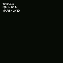 #060C05 - Marshland Color Image