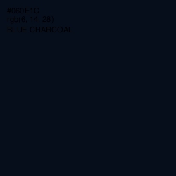 #060E1C - Blue Charcoal Color Image