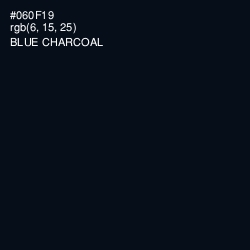 #060F19 - Blue Charcoal Color Image
