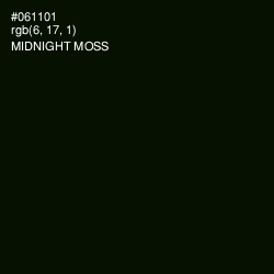 #061101 - Midnight Moss Color Image