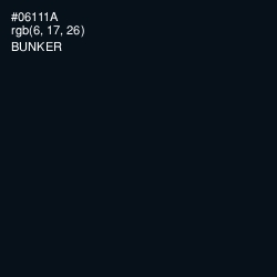 #06111A - Bunker Color Image