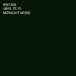#061606 - Midnight Moss Color Image