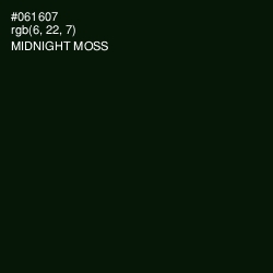 #061607 - Midnight Moss Color Image