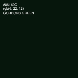 #06160C - Gordons Green Color Image