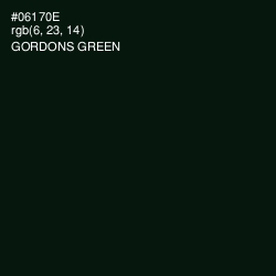 #06170E - Gordons Green Color Image