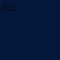 #06173C - Tangaroa Color Image