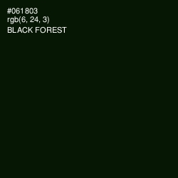 #061803 - Black Forest Color Image