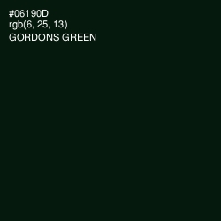 #06190D - Gordons Green Color Image