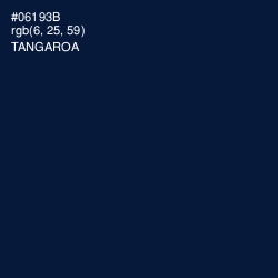 #06193B - Tangaroa Color Image