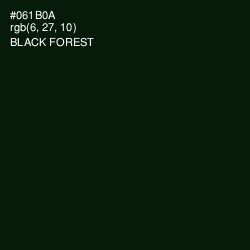 #061B0A - Black Forest Color Image
