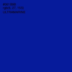 #061B9B - Ultramarine Color Image