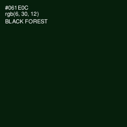 #061E0C - Black Forest Color Image