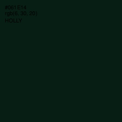 #061E14 - Holly Color Image