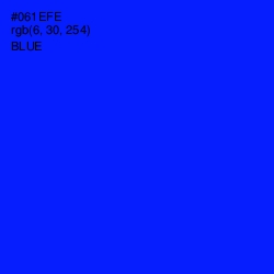 #061EFE - Blue Color Image