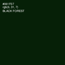 #061F07 - Black Forest Color Image