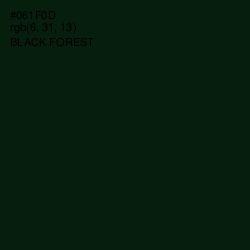 #061F0D - Black Forest Color Image