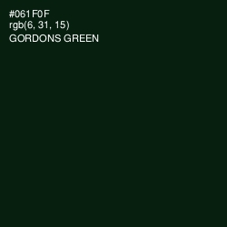 #061F0F - Gordons Green Color Image