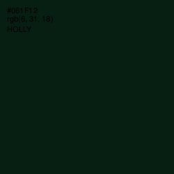 #061F12 - Holly Color Image