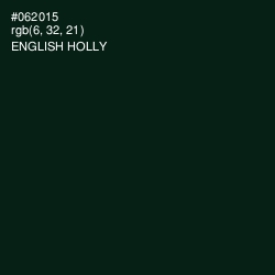 #062015 - English Holly Color Image