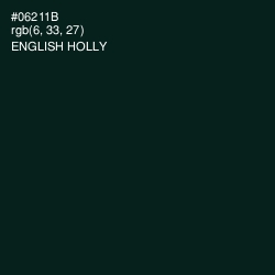 #06211B - English Holly Color Image
