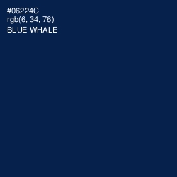 #06224C - Blue Whale Color Image