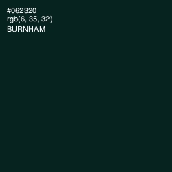 #062320 - Burnham Color Image