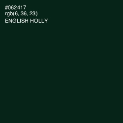 #062417 - English Holly Color Image