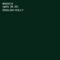 #06261A - English Holly Color Image