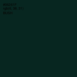 #06261F - Bush Color Image